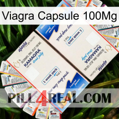 Viagra Capsule 100Mg kamagra1